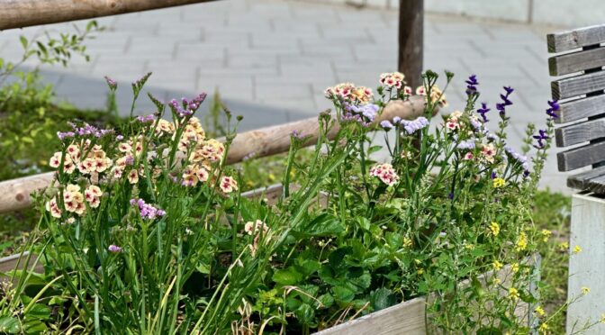25-07Blumen08