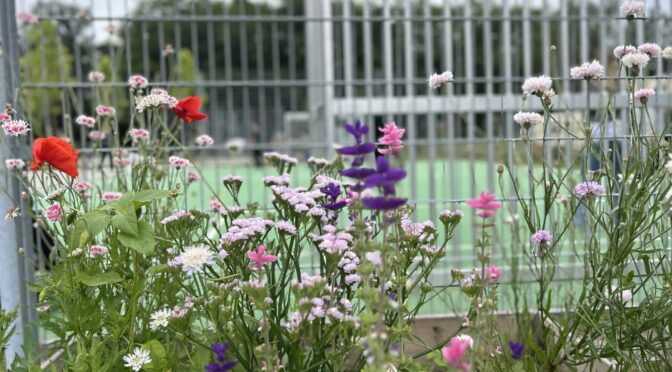 25-07Blumen11