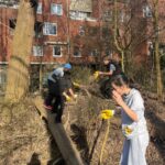 HH räumt auf 2603013