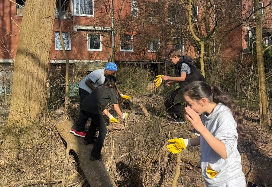 HH räumt auf 2603013